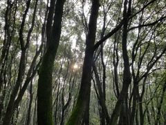 -同里国家湿地公园