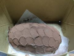 -PAPER STONE BAKERY(天汇广场店)