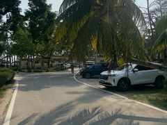 -东郊椰林