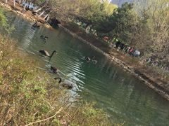 -长白岛森林公园