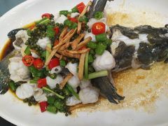 -顺德了能馆(虎门店)