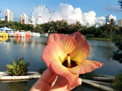 -白沙门生态公园