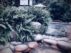 -融汇温泉