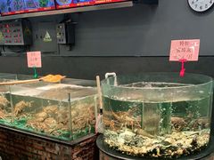水产区-九號渔港·蒸汽海鲜·粤菜茶点(八卦岭店)