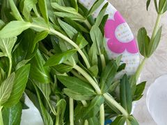 -Pho Hoa Pasteur
