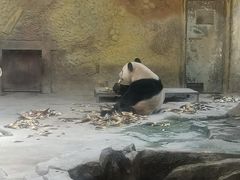 -常州淹城野生动物世界