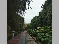 -鸿山公园