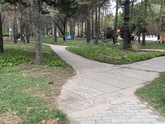 -黑龙江省森林植物园