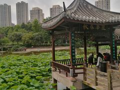 -龙头寺公园