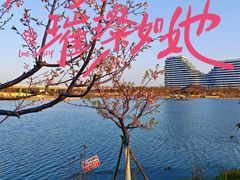 -美兰湖景区