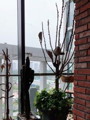 -THE BARN大屋理发馆