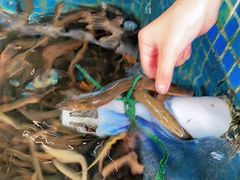 -台山第一家兴华黄鳝饭·黄鳝婆(开平店)
