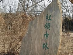 -大港湿地公园