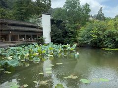 -绿茶餐厅(龙井船宴· 品牌总店)
