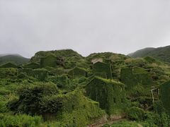 -枸杞岛