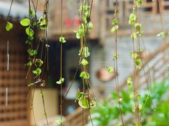 -丽江花间堂·隐泉院