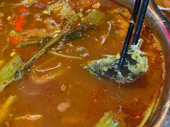 麻麻鱼大辣锅-苗家恒灵酸汤鱼-跳水牛肉连锁店(凯里总店)