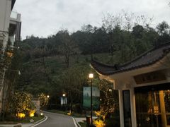白茶猪手-安吉涵田度假村·水榭居中餐厅