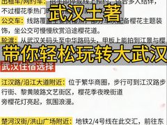 -大圣甲(汉口店)