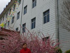 -王顺山国家森林公园
