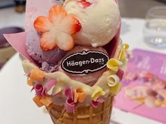 -哈根达斯(城西银泰店)