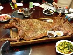 -九十九顶毡房(阜石路店)