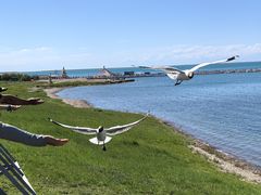 -青海湖二郎剑景区