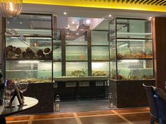 -甄御•海鲜新青岛菜(麦岛店)