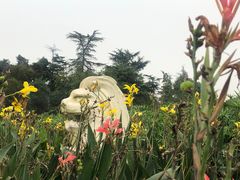 -桂湖森林公园