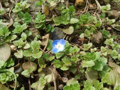 -湘鄂赣边区鄂东南革命烈士陵园