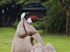 -白鹭洲公园