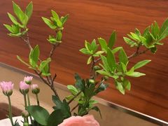 -千禧万福汉亭舫·船舫苏宴