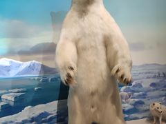 -陕西自然博物馆