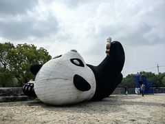 -苏州太湖国家湿地公园