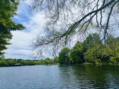 -上海共青森林公园