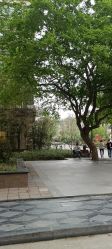 -河南中医药大学第一附属医院-医疗整形