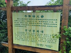 -帽儿山国家森林公园