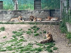 -西安秦岭野生动物园