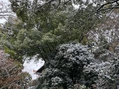 -黄鹤楼