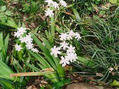 -狼山风景名胜区