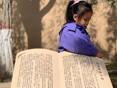 -延安杨家岭革命旧址