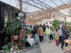 -京北渔家傲