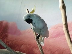 -武汉园博园(武汉自然博物馆)