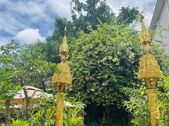 -品德宏·孔雀宴的发源地(金塔园店)