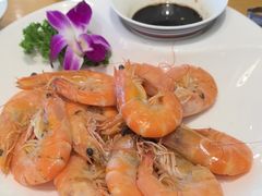 -海派美食·家宴海鲜青岛菜·石锅鲽鱼头(东方城店)