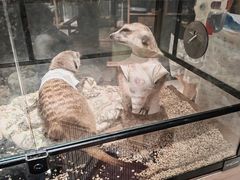 -瑞虹新天地月亮湾