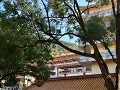 -深圳仙湖植物园