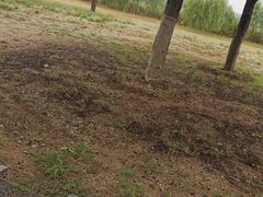 -梁鸿国家湿地公园