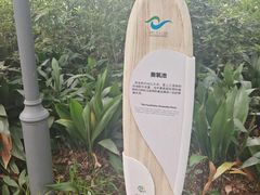 -成都市活水公园