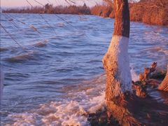 -捞渔河湿地公园
